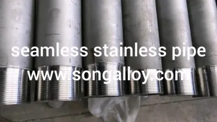 Stainless Steel Seamless Small Size 316L Round Tube Pipe